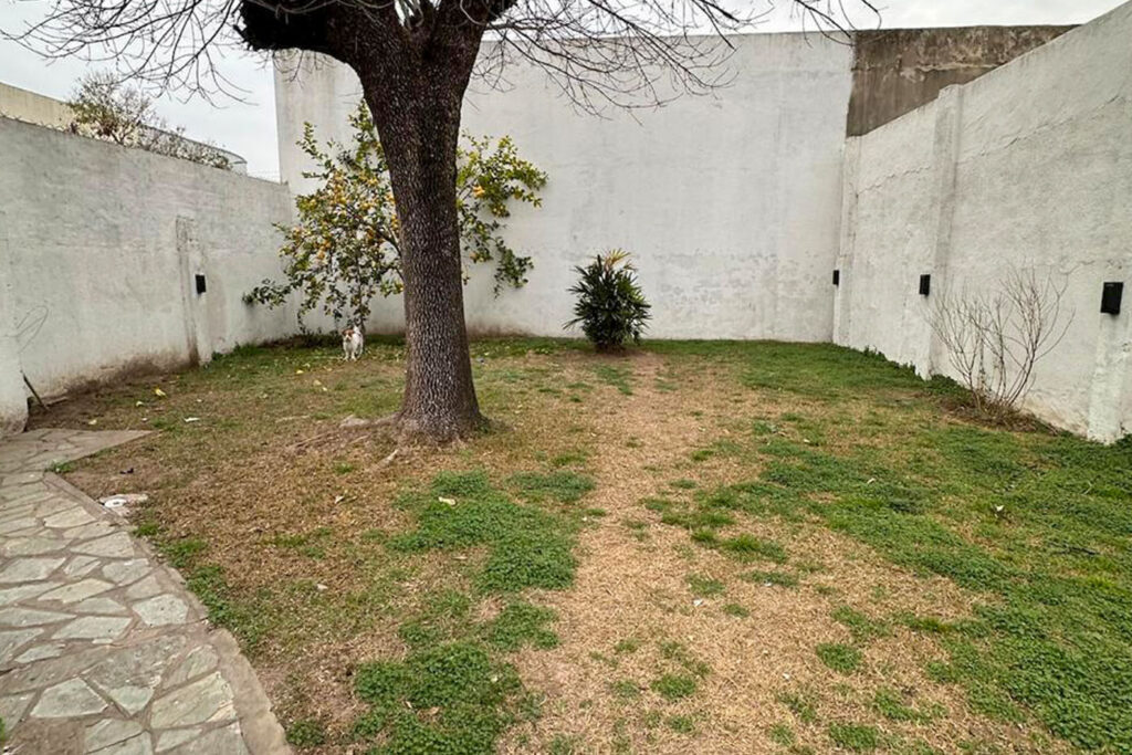 San Luis esq. Custodio Duarte image 4