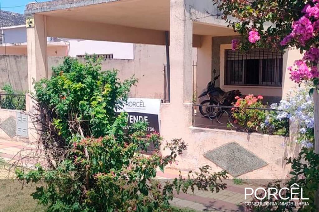 Ramón Raimundo 1246 image 3