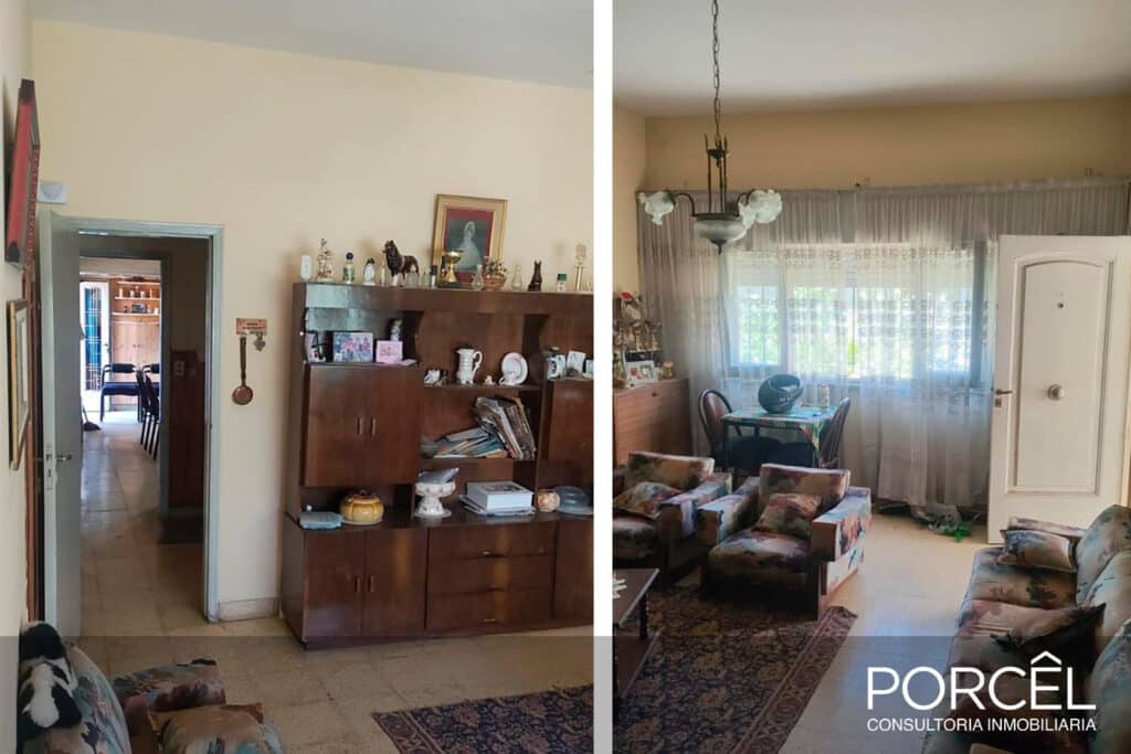 Ramón Raimundo 1246 image 5